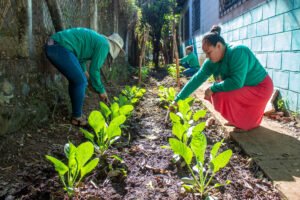 Lee más sobre el artículo Mujeres de Ciudad Arce cultivan vida, autonomía y derechos desde la horticultura ecológica